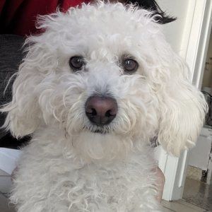 Meet your Posher, Erika